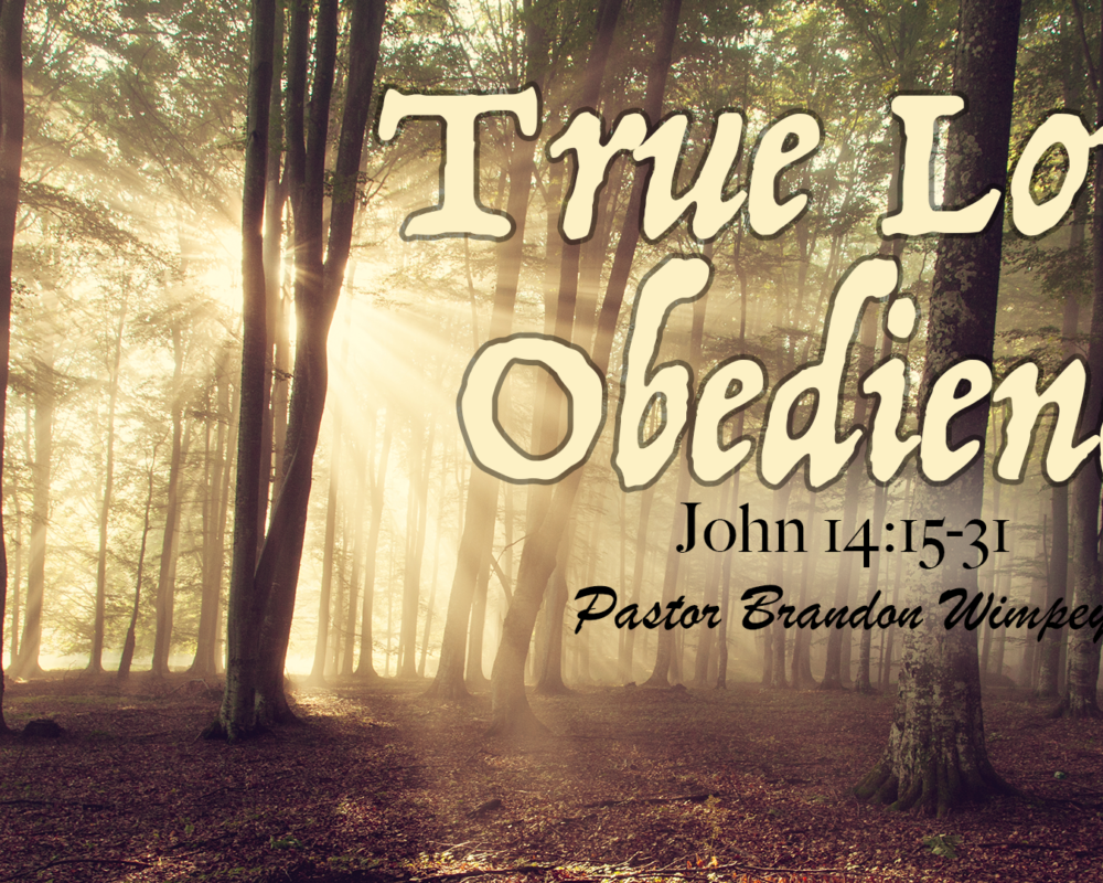 True Love, Obedience